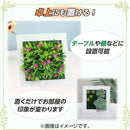 fffff83ffc3fdfbfcf3fdcff80e3e07fe07fe0fff3c1ffddffc1ffe3ffd7ffff75757575758b8e007546377575000064