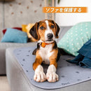 0fbf9ebfff4effbffe3fa41fe59f03bffe5e7dc43ec03c000d400f47cf57cdfd