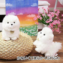 c601f078c02aca2831f07984fc81f8286e1cff7cfdbcf97f2b3f523e200e06dcb3a2a1f60bf5014524036433161f1a07