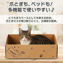 fffff7c3f7fffeffffffffffffffff3ff8ffc001c201c301c001d001c001000119171e1b22121c1c151c001e18151215