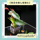 fffff3dfdffdc001c001ca01c601cb01c001c721c4c1c001c441c00dc109ffff2b8989897e6b6b007e4b4c007eab332b