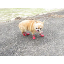 fffffffefffdfeddf3557ffb866186d75500c009c009001304270177c10b0179