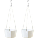 fffffbfffbfffbfffbfffbffffe7f7effbfffbfffffffffbe187e083e183ffff000000000000000000000000008b0089