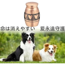 fffffe7ffe7fff7ffd7ffc7fff7fef5aefff000001000180039c03e8033c851c00000000000010003335323732322b19