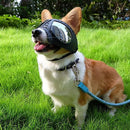 000004c007805f3ff5fff83ffc7ffffbff7fcff307b23f92ff00024000000000