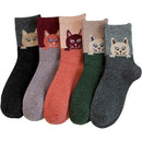 ffffc1ffc1f5c171d5b5c633c301c400c180880081019a01980188038903fc87000000000015ef8900eb029200f24593