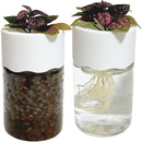 ffffff8181c080c1fdfdfffffffffffface180ff80ff80fd80ff80ff80ffc1fb00000000006b006b0092002300150024