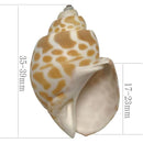 fffffffffe7ffc3ffc9ff81ff01ff007f007f007f001f801fc05fc05fe0fff7f0000000000001b00001a181700001918