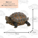 ff3feffffffef7fffffdfffff81fe00fe007e00fb007fef7fffdfbffeff9ffff120f0000000000000017201e00000000