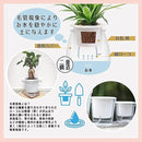 fffff707c90fcdffe89ff19feff8e7ffafafffffef61e7bcfbf8f7faff31ffff