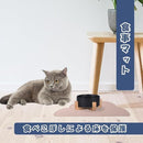 fff8fff8fff8fff8fff8ffeeffecffecf8ecf0ece0fd808dbf82fa41d626c000909289729a929c1ea2a29cc707140909