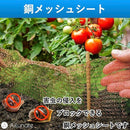 ffffffffffffca8140fa035b02f3a873722355e5836f01a34ae0048502480088939393944e41310610373a3a122dd53a