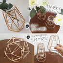 bfffbfff17cfdf078305ed03dd03dcd0f701ffffc7fc08fb067d026e121000002b20212d000b390a6b120b0f100f1012