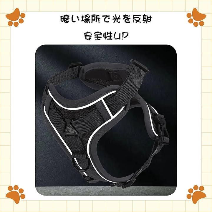 ffffbffeffffffffe003e003e003e003e083e003e003e403e003e003e003bffe1a18191917809e6b1700009c15a0a29c