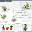 000003dffffffffadff1dffeff7ffff7e7658ffffe7ffffffdfff9f0d5fb97f3999999998032892e00009c8989d5899c