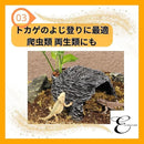 00005fff777f42577ff7723f780370037003701370037103730370077ffb7fff1c1c1c1c1c1c1b1b1c121c121c1b1c17