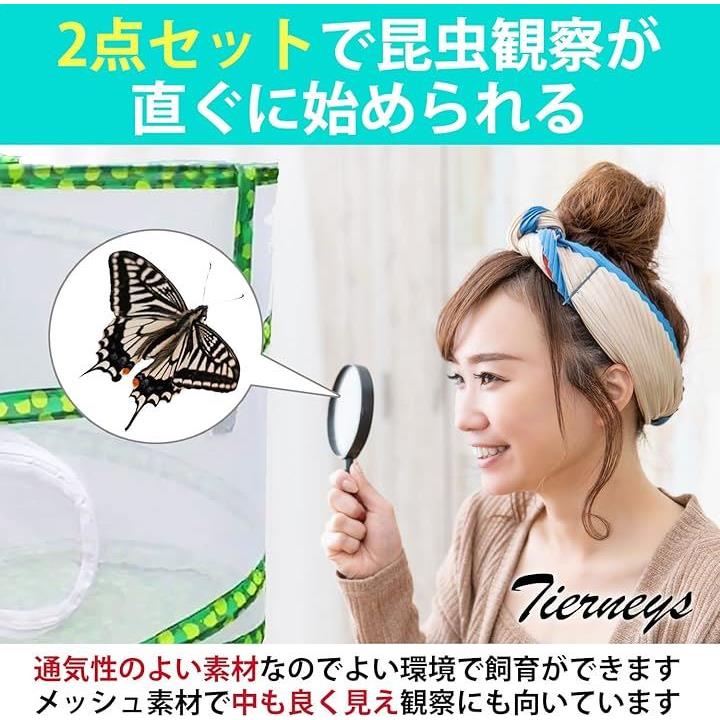 000010780110000001f9fff9efe5e5d6e3f23ff0ffe1ff78ff6aff3ef70ea9c9