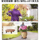 ffffffffffffc391d011e01bc01bd093c023ffffc3b9ffc1f101fb19c05fc30f000000000021261a00192438000f2125