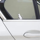 802000010000000000008000c00060c0bfffffffffffffffffffffefffffffe700363631ab313131a26b9c9ca2a2a2a2