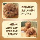 00003ffe44fe60ca40a240fe40fe60fe1ffc7f8075a065e47f907fc07de23ffe16161615160c211016161a1716212110