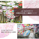 ffffedff86bf7c2fe00038801c001c3fd43f1c3fffa4ffbeffd0bfb2ff64ff04000000ced90206ff252e1b00e9e97902