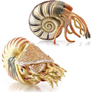 ffffff9ffe07fc07fc07fc05fd0dfeaec7f7a3ffc0ffd13fd05fe81fe01ff1bf