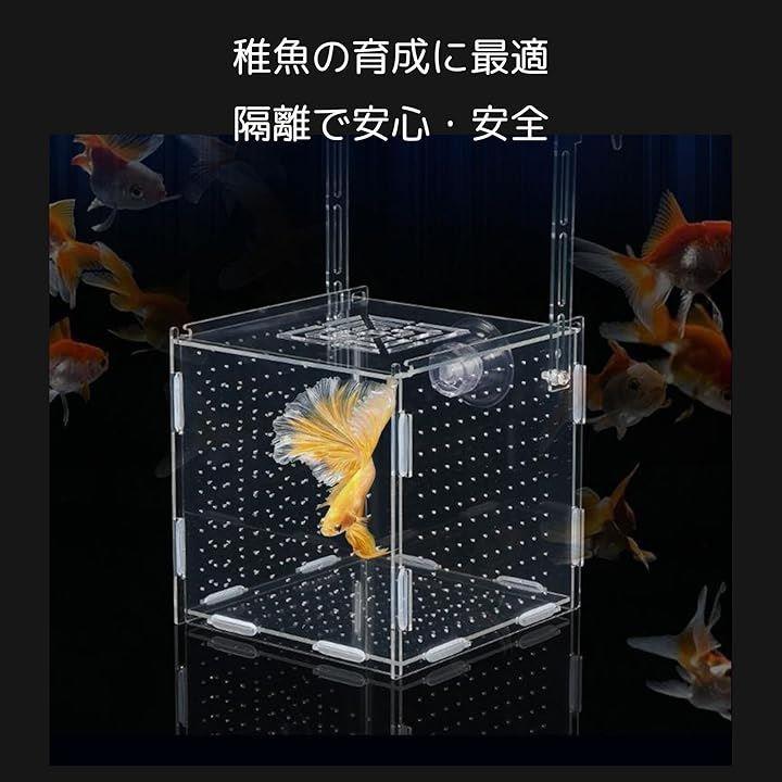 00000730000038002000200801060fb60bfa0f90018806a006f00fd0008000800000000000a09fa0009518150097956b