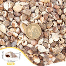 2dbafecb2fe09b5474e102b22de8d3cad68e068fcdbd0568f837ec21ff84ef59101618180f0714130f10171621800b06