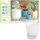 ffffb00098009804b800b186b982b982ba02bfffffffffffffffffffffe7fffb000000000077303000003d8e00000000