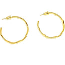 ffffffffffffffffffffffcbcffdffbebebebfdfbfe3cbffffffffffffffffff00000000000000000000000000000000