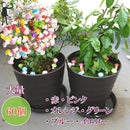 ff7dae7dde7eb3f37e8a761925c330058069d8a1e081c003e101e001f081ffff3126490024c0439747482b3c1e091c10