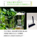 fffff57fffff00002600000001ef4a0d100f000fa00f00e9110fffffefbfffff0000000037525d4e3f53521337262013