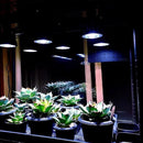 00000000000000000031e01920182010203020307cf0f6f07fd803e4028412441c0000000000ab9c00deab002b3295d5