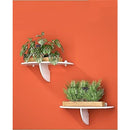 fffeff7cfffcfff8f0fce43ef03fc33fecbfe40f7a003cc81e001ffc041000101010100b090a090909030b0a0909093e