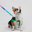 fffffffffffffffffedfee1ff65ffb1fff3ffe2ffc3ff80ff80ff81ff01ff81fab0000ab00abababb3ab33abab9c17ab