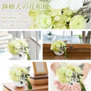 ffff9dfeff74fda4ed84ff76ceffddbcde60c700fb00fc7ffa1de279f86fe04d00000000002e362b00301411002b172b