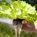 9880036006fcd5fdfbbf7bffbff68778fd63fc005c010c01038001c00180010072872f5a31323032b0301a30322b1c05