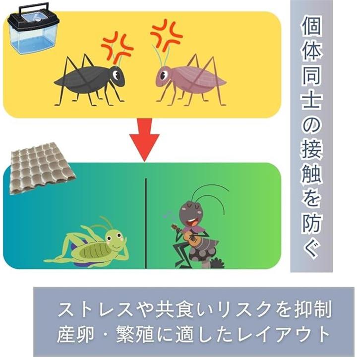 fffe9e7e9ffef3bef73efffefffedffea0048004800680068006c000d45ad8280000000000001822d57a664c0078664d