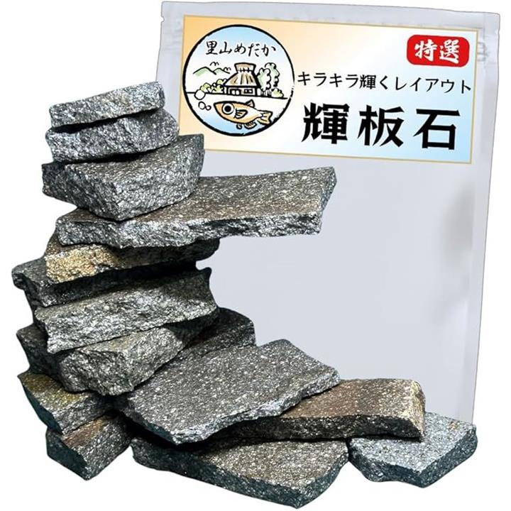 fffffffffff9ff6fc251f1fbc21ee09fc1ff81ffc0ffb03f801fc403c011ee13000000000087909200759e9e00553000