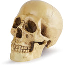 ffffff3ffc0ff80ff81ff00ff047e00fe003f003f013e007e00fe08fe13fe1ff0000000000001a1b001a0f1d001c1c13