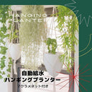 00003de02a801ae0cae0aff05bf4fcacffe4bfb8bfe4cde4ecfce3fcaffce6f4