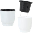 ffffffc7ffc0ffc1ffc180c1ffe3fffffffffffffffffbffffffffffffffffff00000000000000ab0089006b0090009c