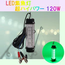 ffffe5fff5fff801fe01fe71fc7ffcdff87ff8fdf2bde2f0da009800d000fbf1b1c6c5c57267625f69691040726e6b6a