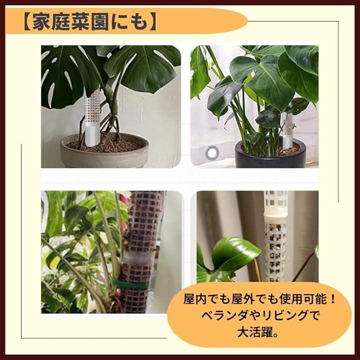 000049ff7fff40b144817bd36be747e37fff60ad61a568c5648540ff7ff57fff010101010145194a01000000012f2718