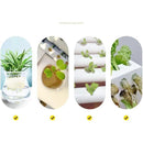 fffffffffffffe7fffffb8888a8888f8d8ded888fcd89b88ffffddddffffffff00000000000000000080002b00000000