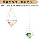 00010000ff55fff7fff7fff7fffffffffffff7f7fbfffff7fff7ffffffe3fff71a1a1a1a00d500190000002400000011