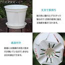 00ff00ff3eff00ff1ce71cff3cff00ffff1cff7fff6fff20ff53ff42ff0eff2c5f3d2b003d9c2b00f215309700003f17