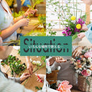 8cffc0ffc2f7f8fdfefd20f103a3a007710730063f508e8442038900e180f899041e1ade930b293310777377693a180a