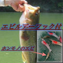 fe00fd000fe001a003000700ff1fba38fc3bfc26fc14fe13d808ff22ff1bff019806759049491c5a4443329b3f4e15fd