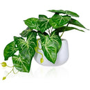 ffffffffffffffffffffffffff8ffd0ffc0bf83ff01fe00fe80ff01ffbffffff000000000000000000004180002b4400